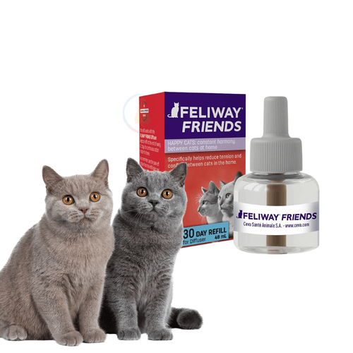 Feliway classic friends cheap