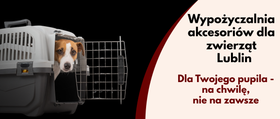 Wypozyczalnia