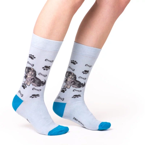 Skarpetki Cavalier King Charles Spaniel Rozm. 41/46 Skarpety