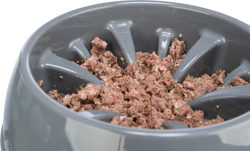 Trixie Miska Spowalniająca Jedzenie Slow Feeding