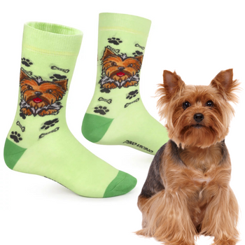 Skarpetki Yorkshire Terrier Rozm. 41/46 Skarpety