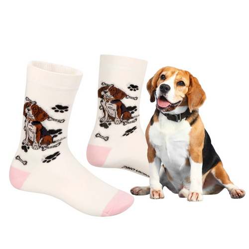 Skarpetki Beagle Rozm. 35/40 Skarpety