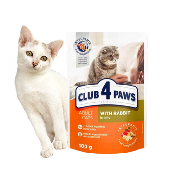 CLUB 4 PAWS Karma Mokra dla Kota KRÓLIK W GALARETCE 100 g