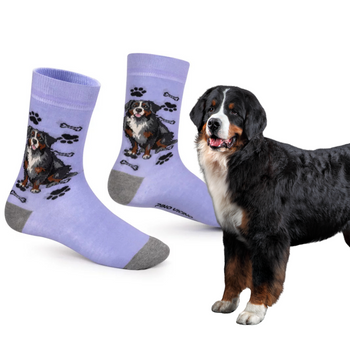 Skarpetki Berneński Pies Pasterski Rozm. 35/40 Skarpety