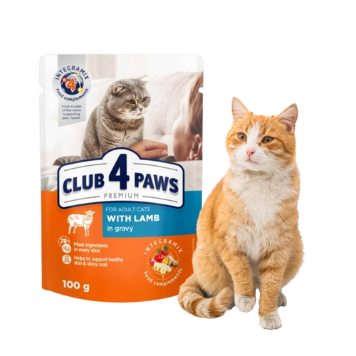 CLUB 4 PAWS Karma Mokra dla Kota JAGNIĘCINA W SOSIE 100 g