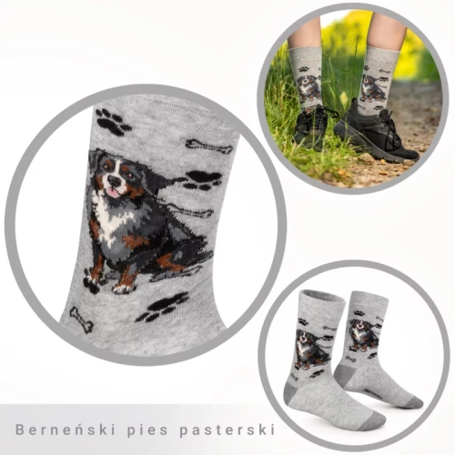 Skarpetki Berneński Pies Pasterski Rozm. 41/46 Skarpety