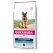 Eukanuba Breed Specific Adult Owczarek Niemiecki 12kg