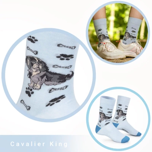 Skarpetki Cavalier King Charles Spaniel Rozm. 41/46 Skarpety