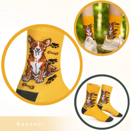 Skarpetki Basenji Rozm. 35/40 Skarpety