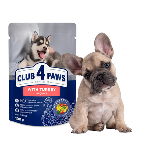 CLUB 4 PAWS Karma Mokra dla Szczeniąt Kurczak w Galaretce 100g