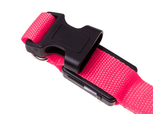 Świecąca Obroża LED Różowa 36 - 59 cm