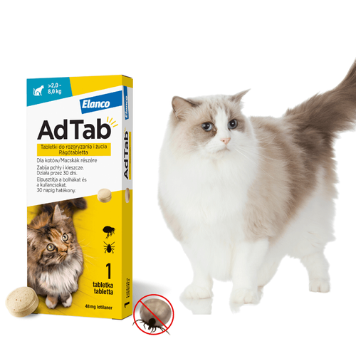 AdTab Tabletka na Pchły i Kleszcze dla Kota 2 - 8kg 