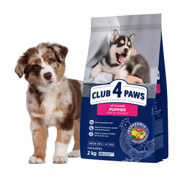 CLUB 4 PAWS Karma Sucha 2kg dla Szczeniąt Wszystkich Ras Kurczak
