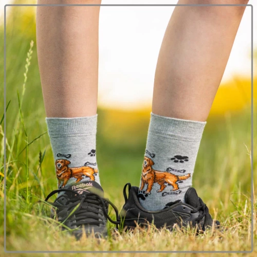 Skarpetki Golden Retriever Rozm. 35/40 Skarpety