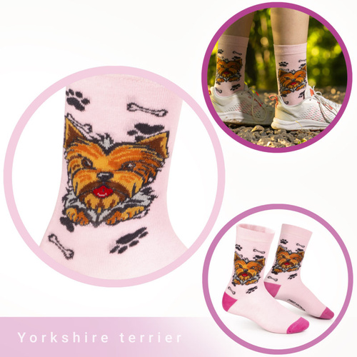 Skarpetki Yorkshire Terrier Rozm. 35/40 Skarpety