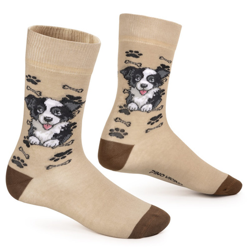 Skarpetki Border Collie Rozm. 41/46 Skarpety