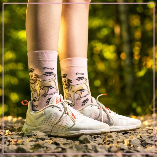 Skarpetki Labrador Retriever Rozm. 35/40 Skarpety