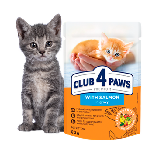 CLUB 4 PAWS Karma Mokra dla Kociąt ŁOSOŚ W SOSIE 80g
