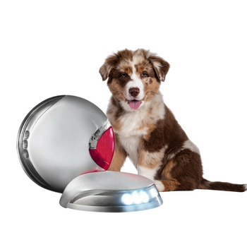 Flexi Vario LED Latarka do Smyczy