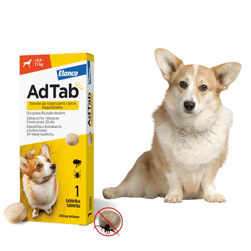 AdTab Tabletka na Pchły i Kleszcze dla Psa 5,5 - 11 kg 