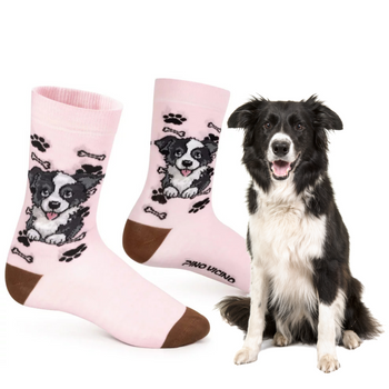 Skarpetki Border Collie Rozm. 35/40 Skarpety