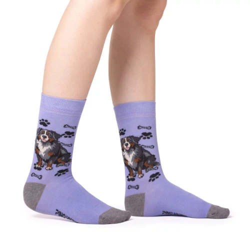 Skarpetki Berneński Pies Pasterski Rozm. 35/40 Skarpety