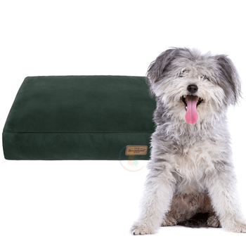 Recobed Mata Welur Plus Zielona Medium