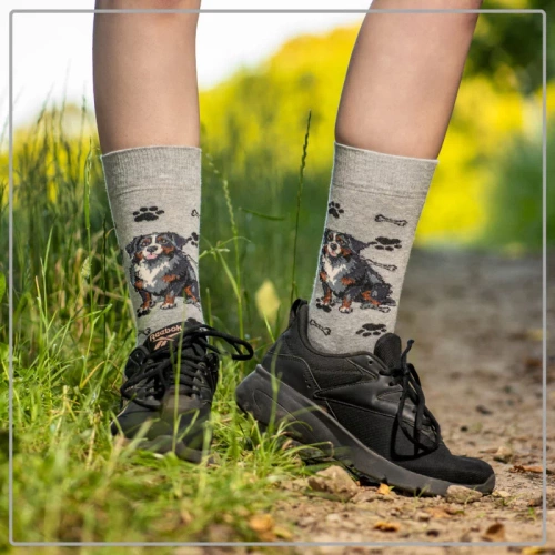 Skarpetki Berneński Pies Pasterski Rozm. 41/46 Skarpety