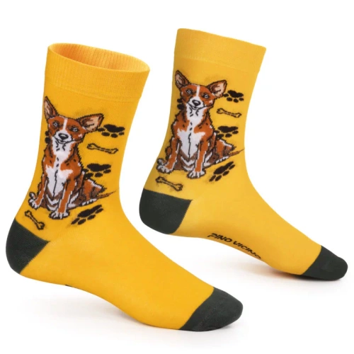 Skarpetki Basenji Rozm. 35/40 Skarpety