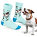 Skarpetki Jack Russell Terrier Rozm. 41/46 Skarpety