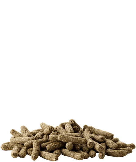 Versele Laga Complete Cuni Adult 500g