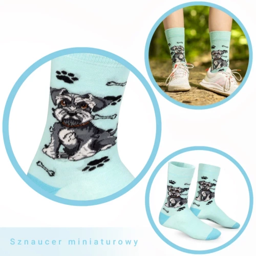 Skarpetki Sznaucer Rozm. 41/46 Skarpety