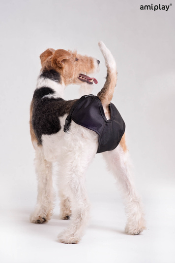 Amiplay Majtki na Cieczkę XXS