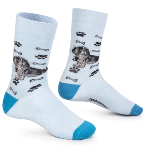 Skarpetki Cavalier King Charles Spaniel Rozm. 41/46 Skarpety