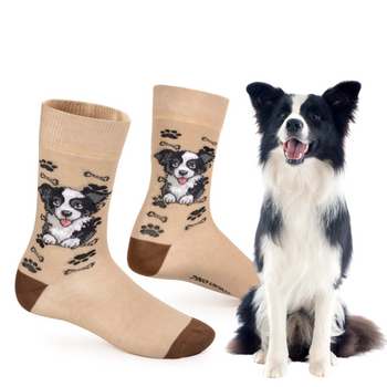 Skarpetki Border Collie Rozm. 41/46 Skarpety