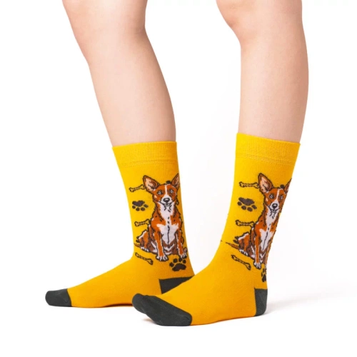 Skarpetki Basenji Rozm. 35/40 Skarpety