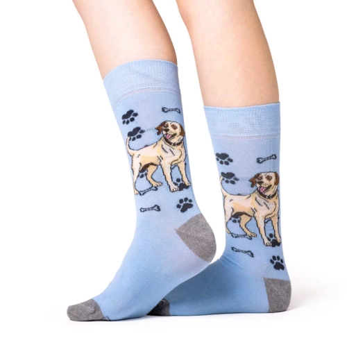 Skarpetki Labrador Retriever Rozm. 41/46 Skarpety