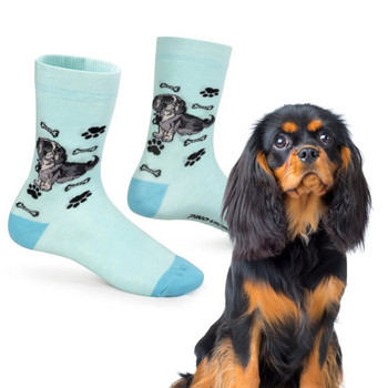 Skarpetki Cavalier King Charles Spaniel Rozm. 35/40 Skarpety
