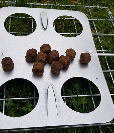 Żywołapka Pułapka na Kuny Dwuwejściowa