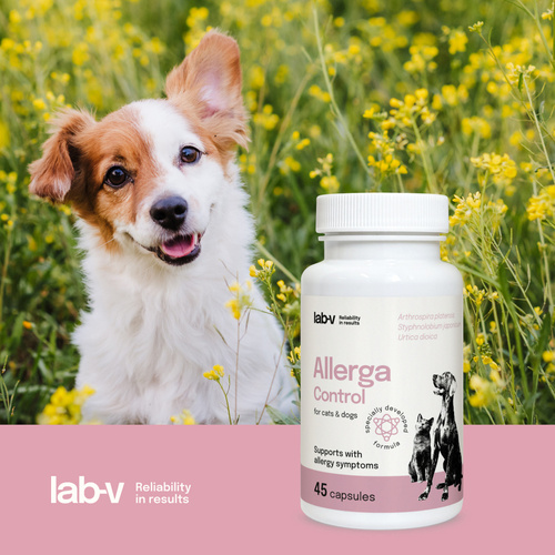 Lab-V Allerga Control Wsparcie przy Objawach Alergii dla Psów i Kotów 45 kapsułek