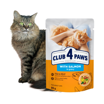 CLUB 4 PAWS Karma Mokra dla Kota ŁOSOŚ W SOSIE 85 g