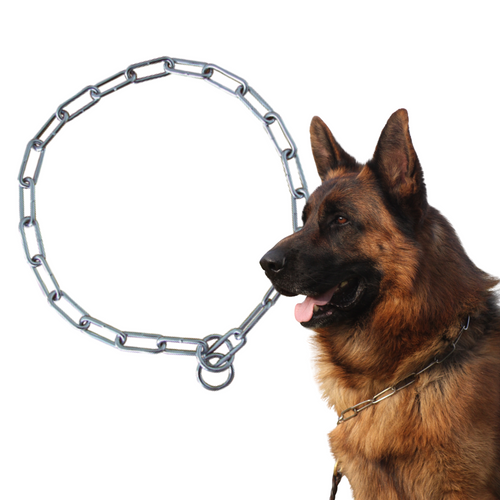 Zolux Obroża Metalowa Zaciskowa Dławik Łańcuch 60cm