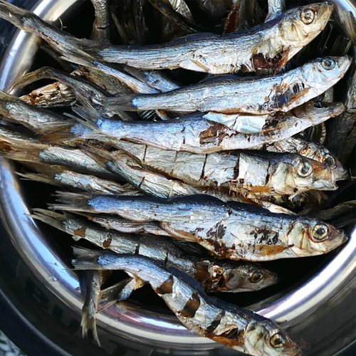 Bult Szprotki Suszone 60g