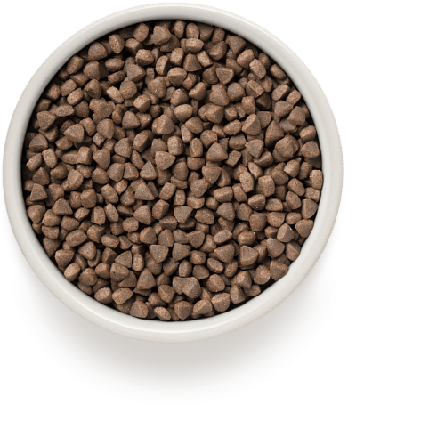 Grandorf Rabbit & Turkey Adult Sterilised Karma dla Kotów Sterylizowanych 2kg