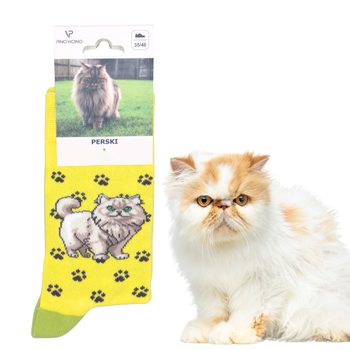 Skarpety Kot Perski Rozm. 35-40