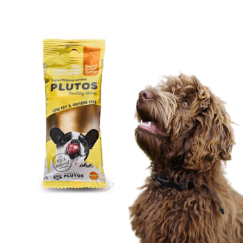 Plutos Chew Masło Orzechowe M