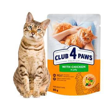 CLUB 4 PAWS Karma Mokra dla Kota KURCZAK W GALARETCE 85 g
