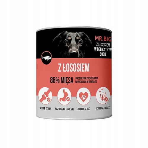 Mr. Big Kawałki w Sosie Łosoś 800g 