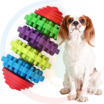 Pet Nova SuperDental Gryzak Dentystyczny dla Psa S