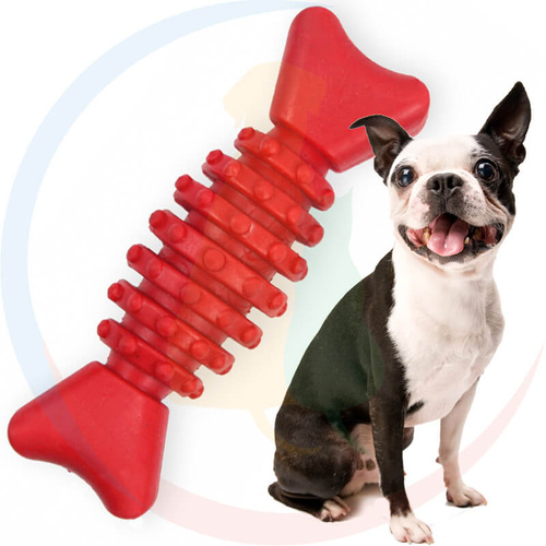 Pet Nova Kość Dentystyczna 12 cm Czerwona